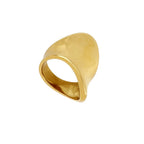 Anillo Big Wafe