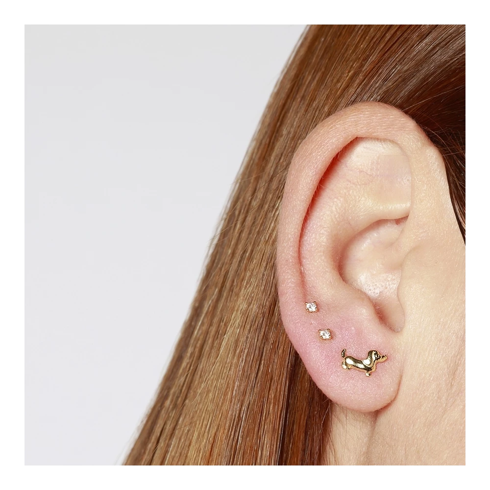 Pendientes Mini Teckel
