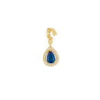 Charm Iris